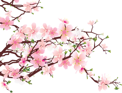 CHÚC MỪNG NĂM MỚI 2017.
