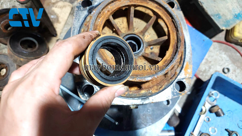 Địa chỉ thay phớt máy bơm nước uy tín tại miền Bắc